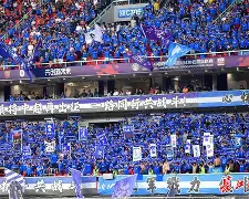 官网电脑版入口-武汉三镇前锋位置补强