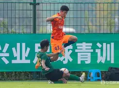 官网电脑版入口-山东泰山与浙江俱乐部足球直播