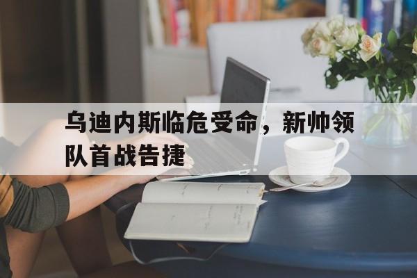 九游体育-掘金新帅阿德尔曼